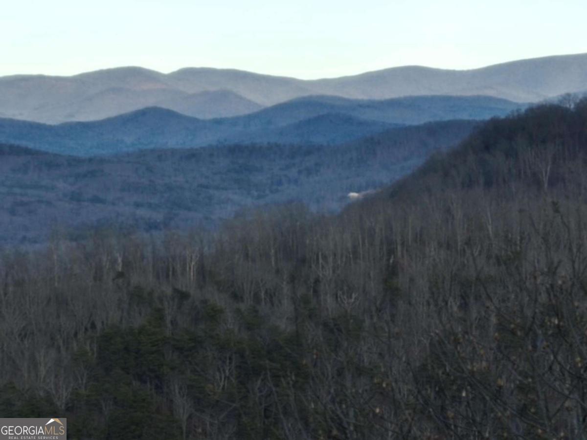 279 Andes Ridge Talking Rock, GA 30175 - Photo 26 of 37