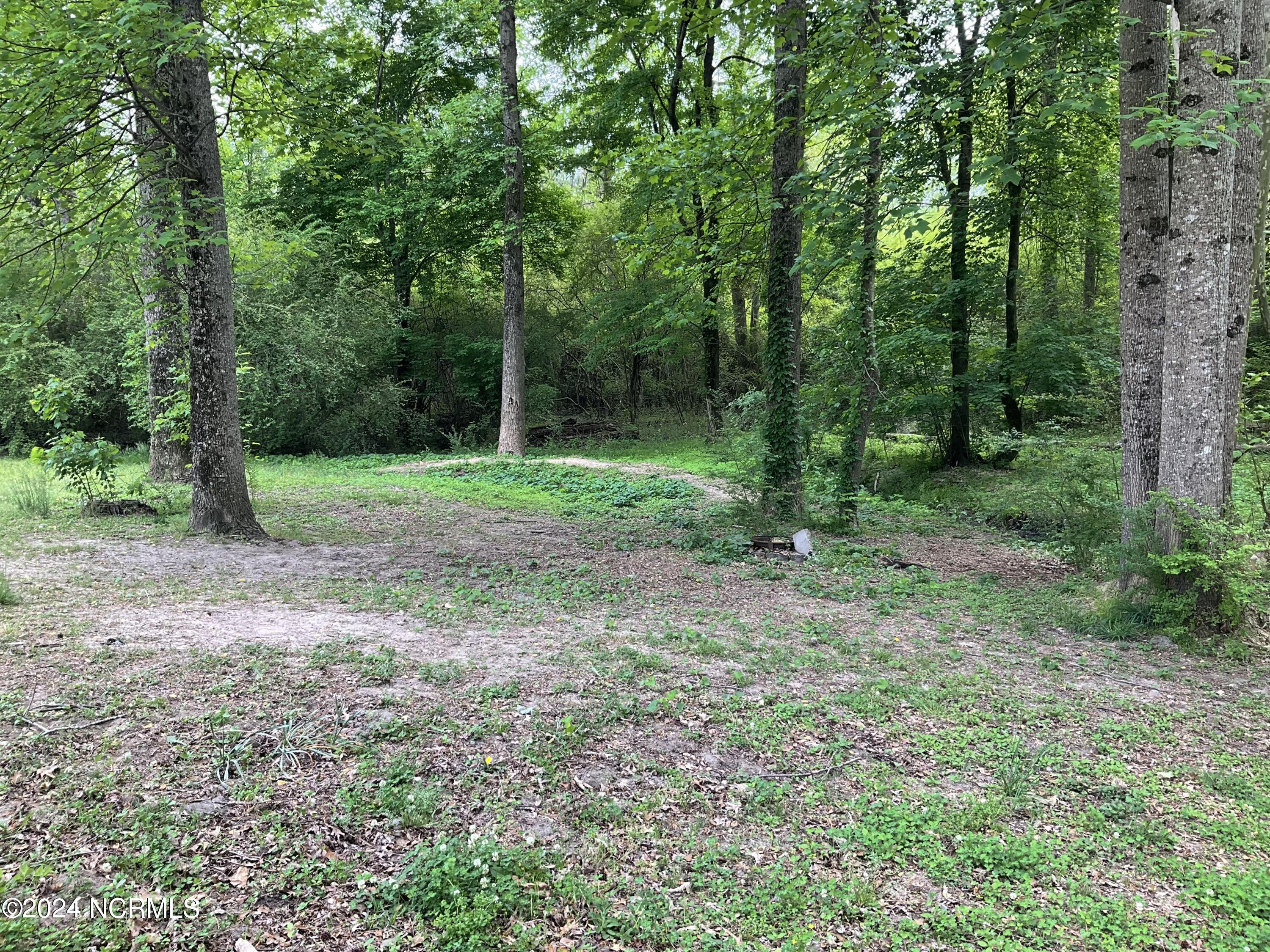 721 Hickory Cross Road Belvidere, NC 27919 - Photo 39 of 42 IMG_0334