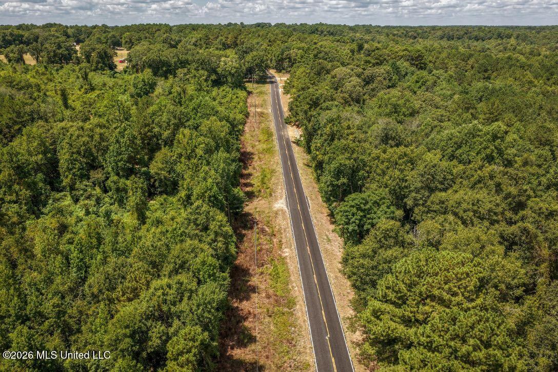 Joe Booth Road Taylorsville, MS 39168 - Photo 34 of 34 DJI_20260813120709_0604_D