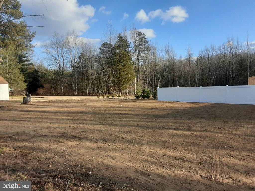 674 Olivet Road Elmer, NJ 08318 - Photo 41 of 41 Yard
