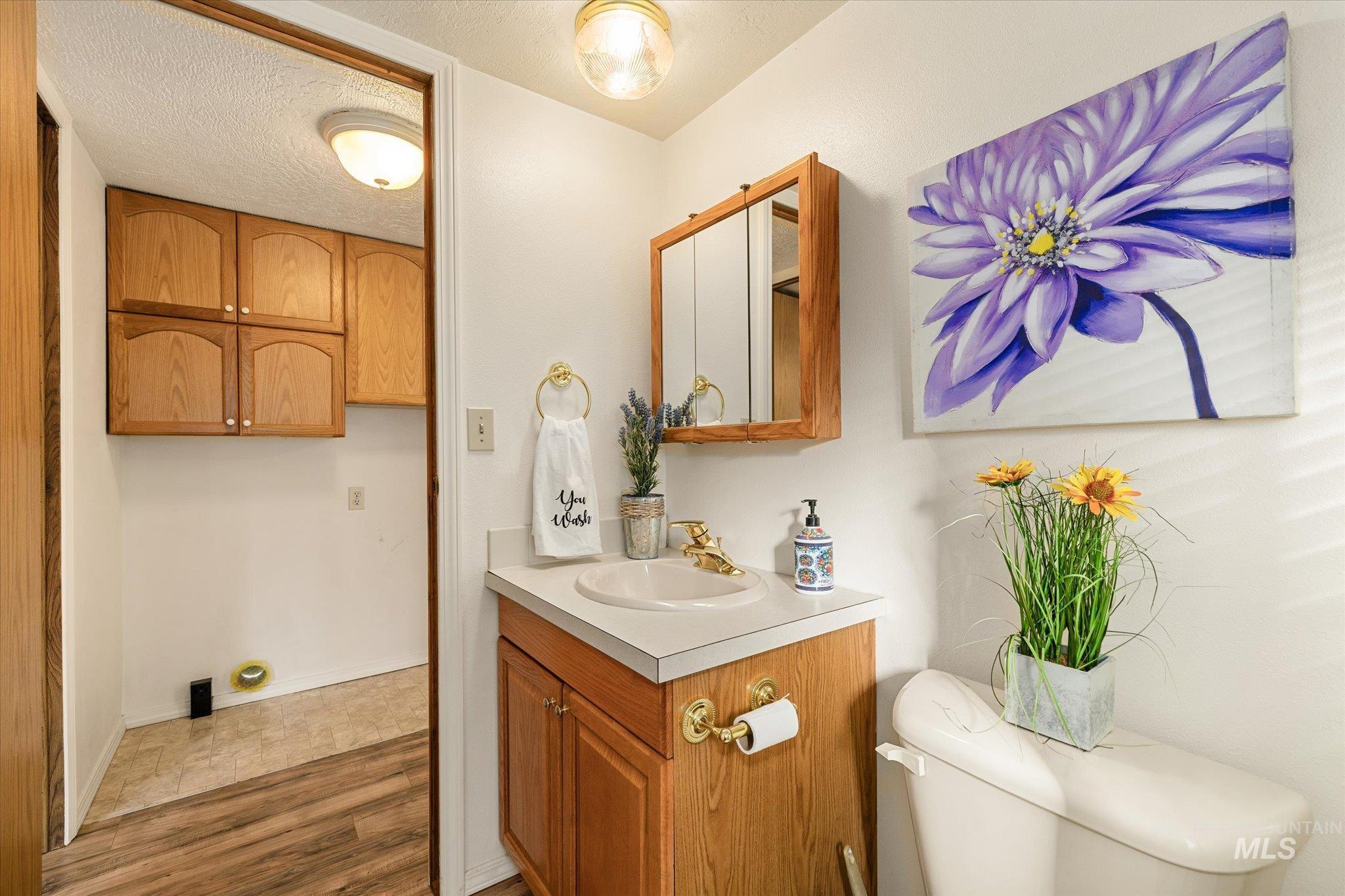 9820 Highway 44 Middleton, ID 83644 - Photo 35 of 50 Bathroom with vanity, a textured ceiling, and wood finished floors