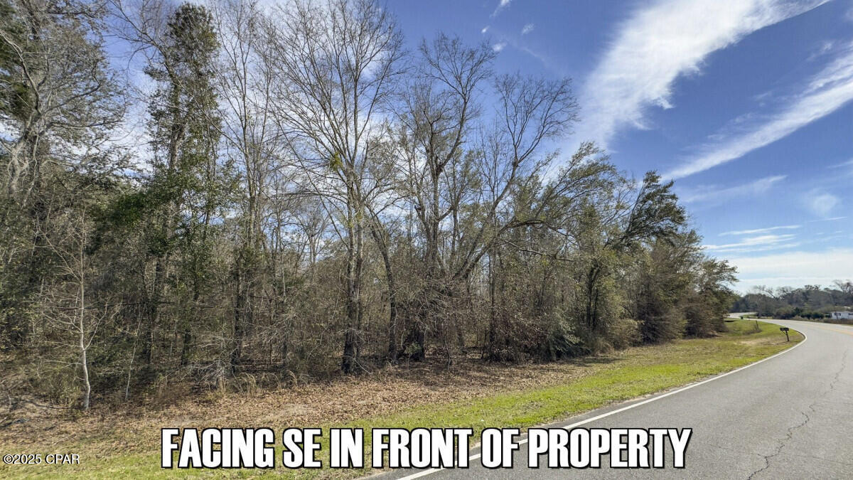 Tbd Salem Church Road Sneads, FL 32460 - Photo 12 of 21 Gallery Image 12