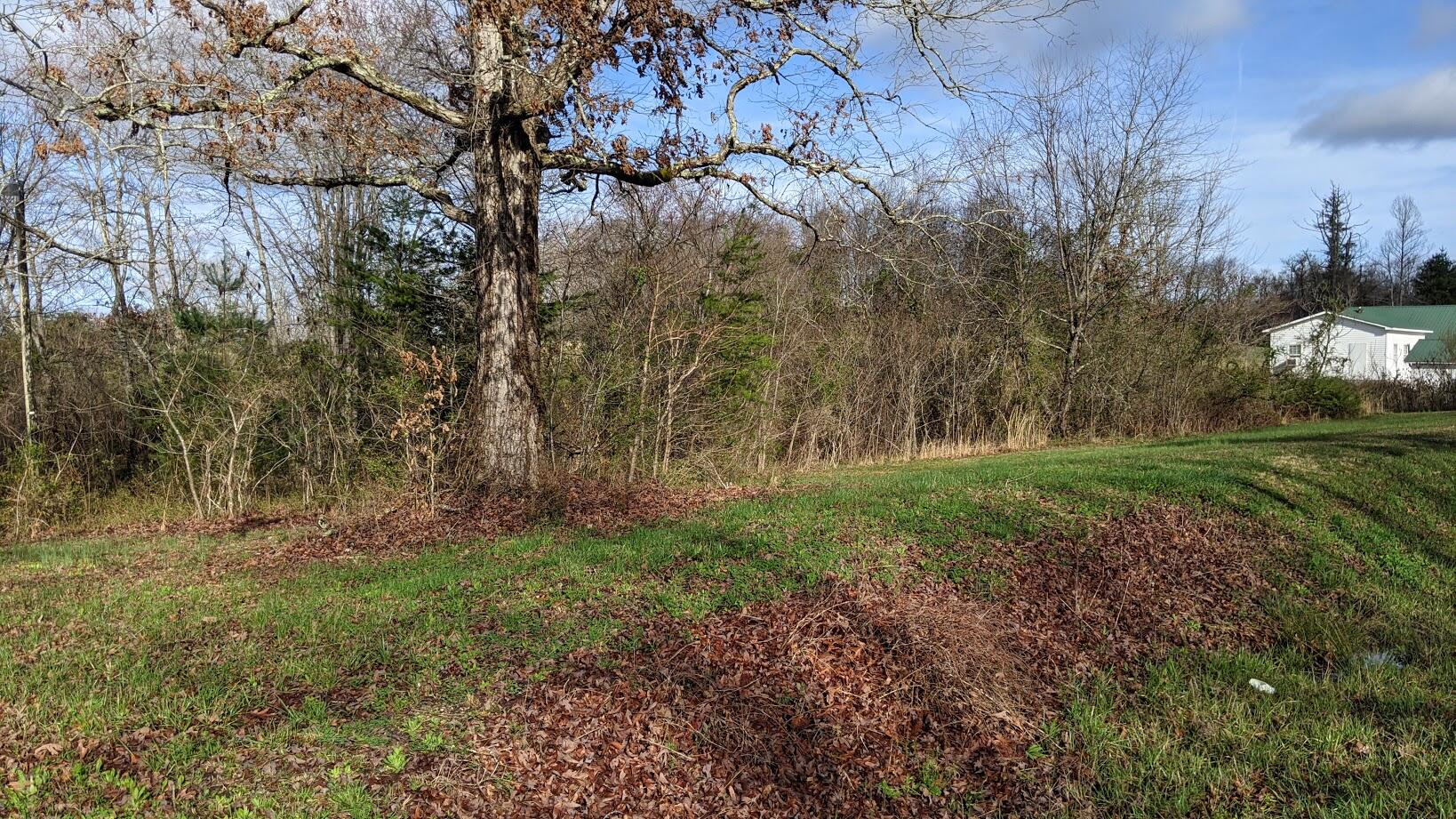 1417 Brewstertown Road Robbins, TN 37852 - Photo 1 of 10 PXL_20210326_135016825