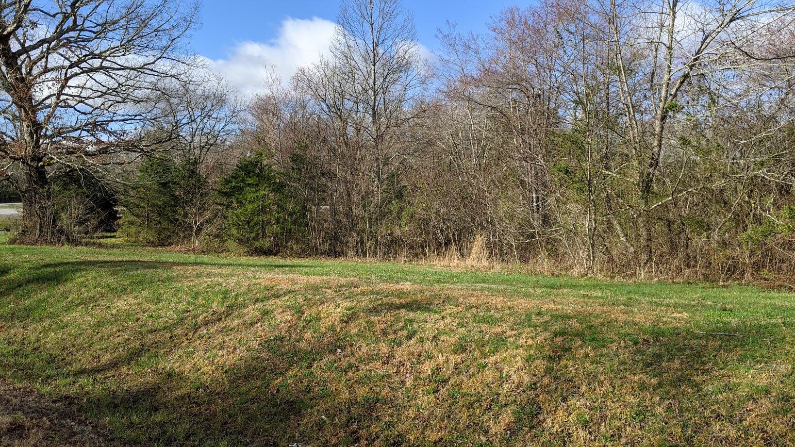 1417 Brewstertown Road Robbins, TN 37852 - Photo 5 of 10 PXL_20210326_135541238