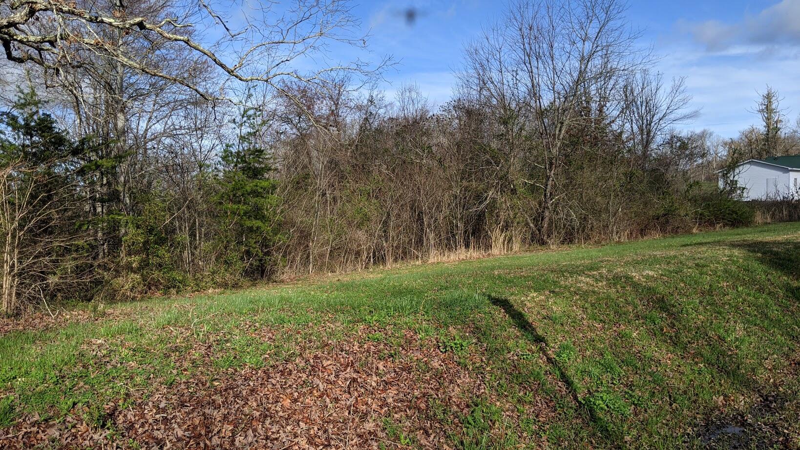 1417 Brewstertown Road Robbins, TN 37852 - Photo 8 of 10 PXL_20210326_135907852
