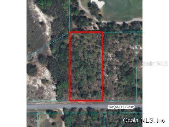 Tbd Southwest 65th Loop Dunnellon, FL 34432 - Photo 1 of 1 Primary Photo