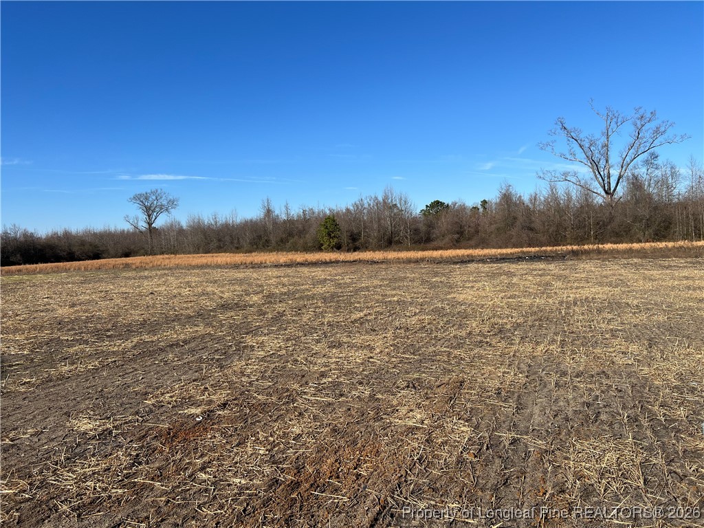 4025 Blue Springs Road Red Springs, NC 28377 - Photo 27 of 27 Gallery Image 27