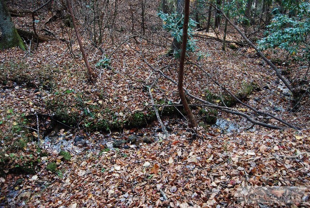 984 Camp Butler Road Glade Valley, NC 28627 - Photo 22 of 39 Gallery Image 22