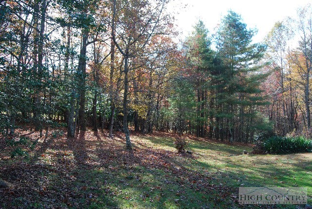 984 Camp Butler Road Glade Valley, NC 28627 - Photo 23 of 39 Gallery Image 23