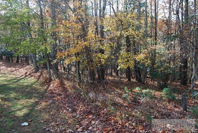 984 Camp Butler Road Glade Valley, NC 28627 - Photo 25 of 39 Gallery Image 25