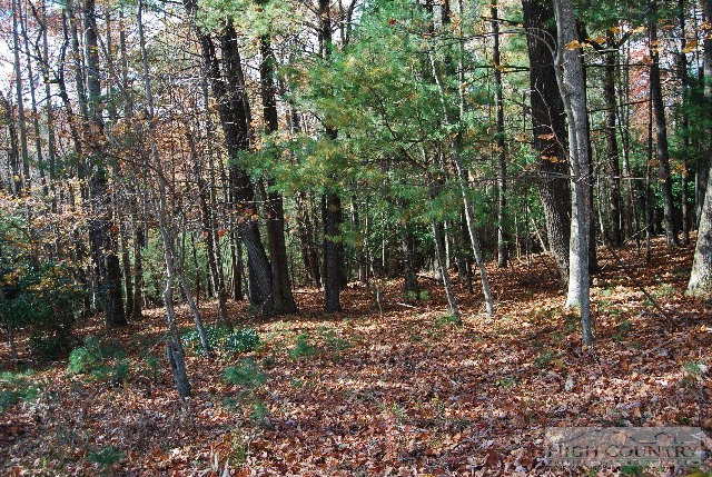 984 Camp Butler Road Glade Valley, NC 28627 - Photo 26 of 39 Gallery Image 26