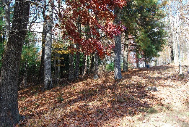 984 Camp Butler Road Glade Valley, NC 28627 - Photo 27 of 39 Gallery Image 27