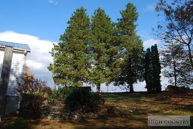 984 Camp Butler Road Glade Valley, NC 28627 - Photo 28 of 39 Gallery Image 28