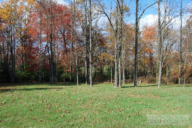 984 Camp Butler Road Glade Valley, NC 28627 - Photo 31 of 39 Gallery Image 31