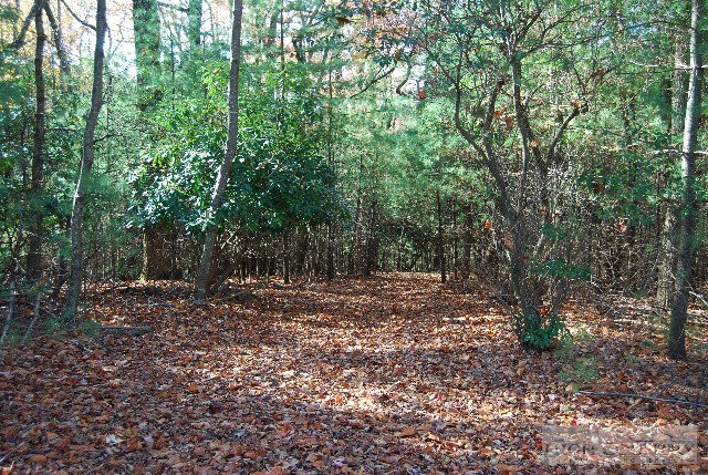 984 Camp Butler Road Glade Valley, NC 28627 - Photo 33 of 39 Gallery Image 33