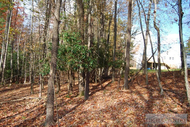 984 Camp Butler Road Glade Valley, NC 28627 - Photo 4 of 39 Gallery Image 4