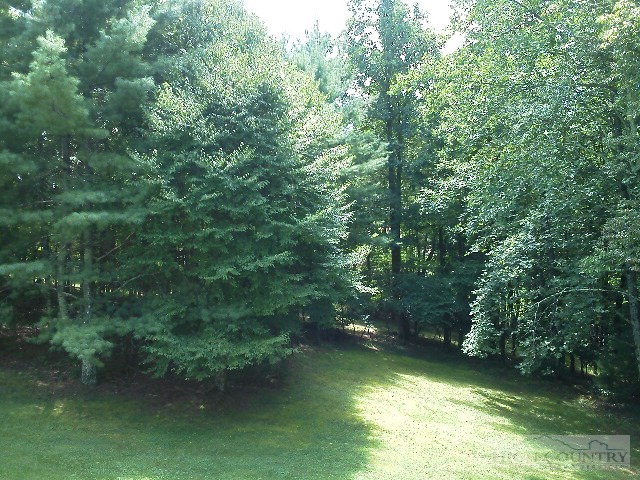 984 Camp Butler Road Glade Valley, NC 28627 - Photo 8 of 39 Gallery Image 8
