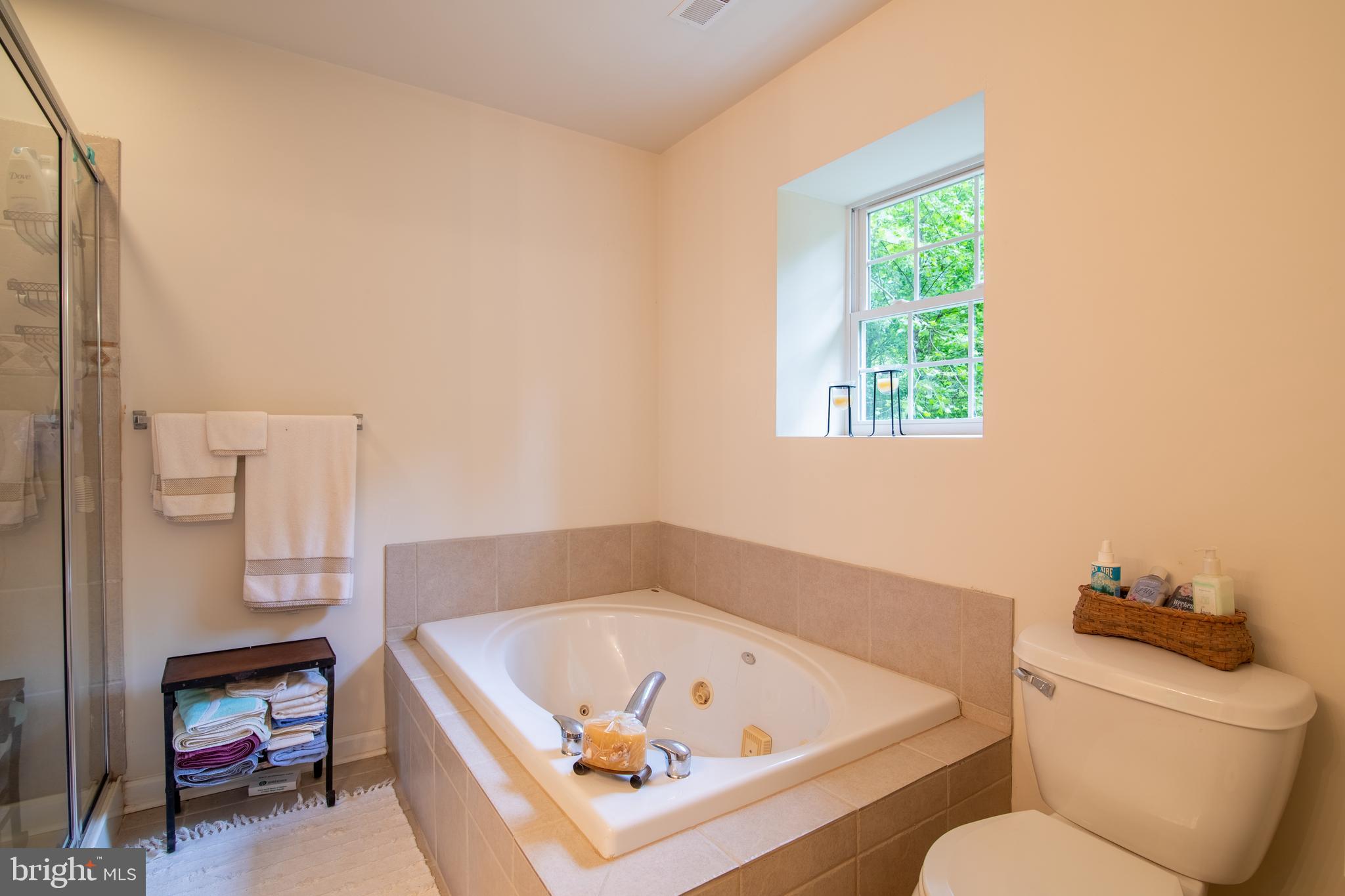 250 Robin Trail Delta, PA 17314 - Photo 13 of 28 Main Bath