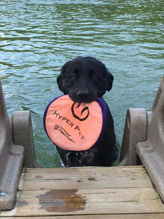 $1,350,000 | 150 Waterwood Drive, Moneta, VA 24121