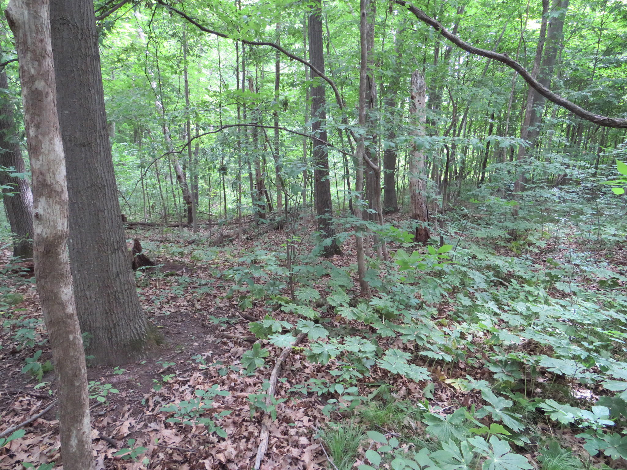 8280 North Genesee Road Mount Morris, MI 48458 - Photo 23 of 50 IMG_0091