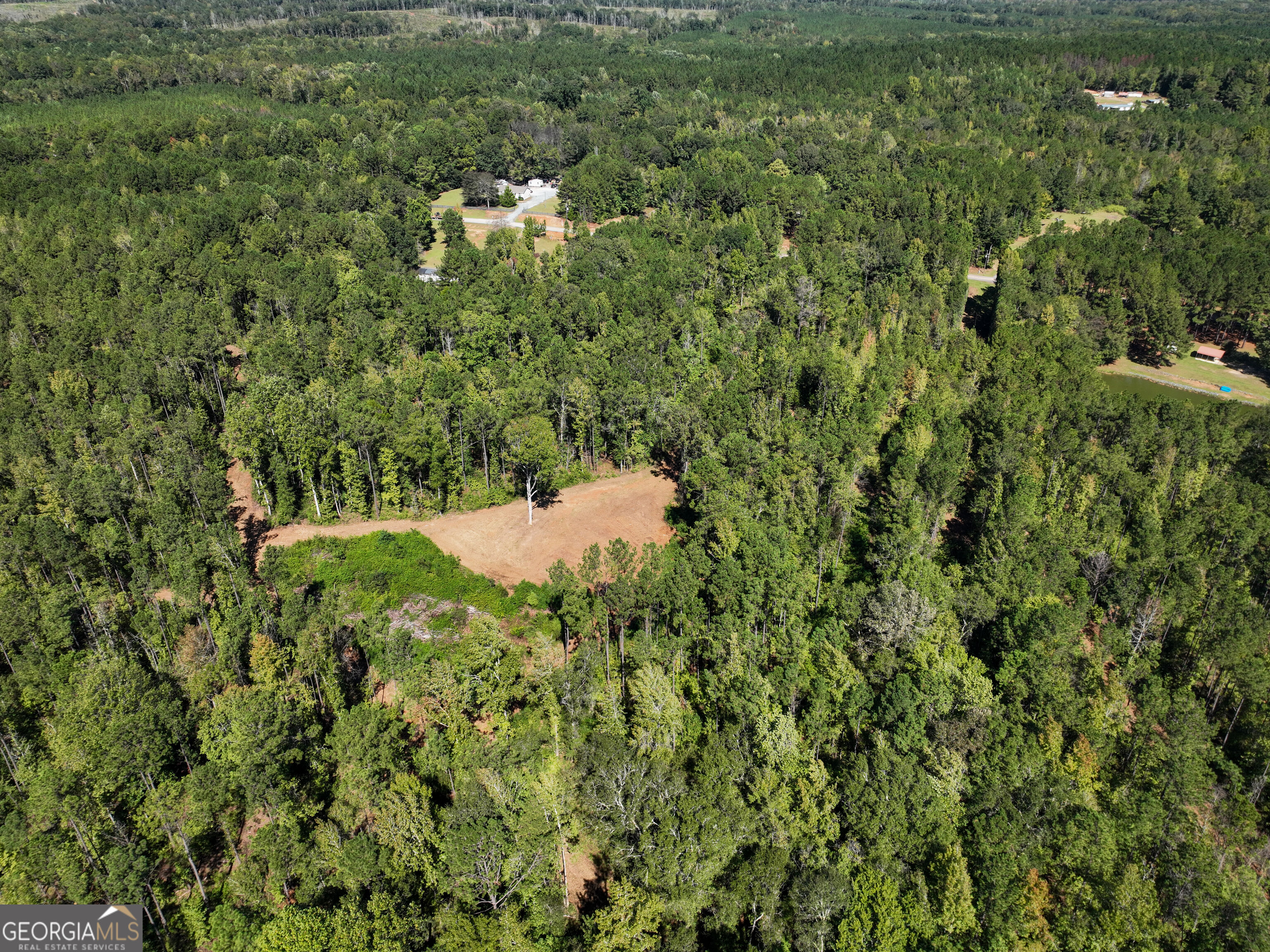 0 Buckrun Road Talbotton, GA 31827 - Photo 18 of 20 Gallery Image 18