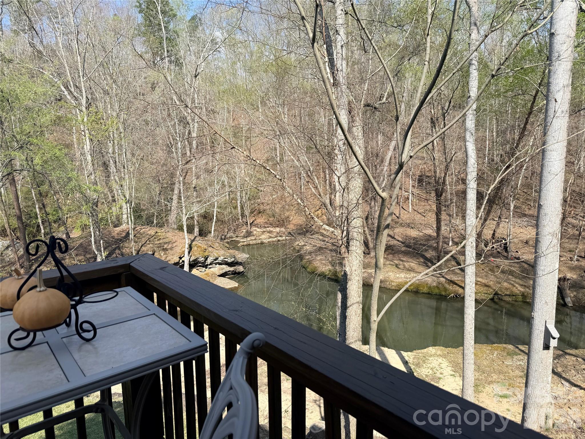 3695 Highway 9 Mill Spring, NC 28756 - Photo 12 of 48