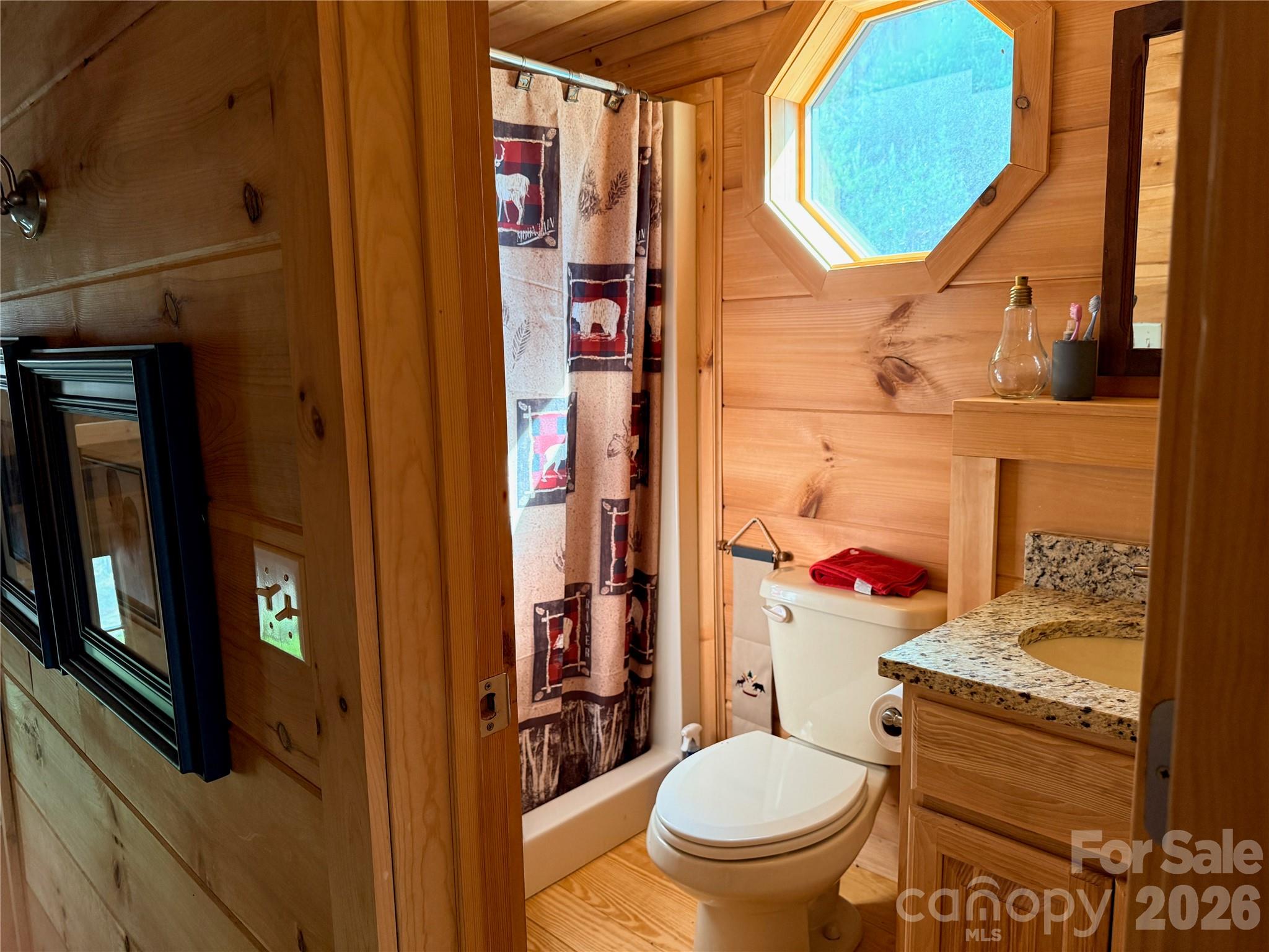 3695 Highway 9 Mill Spring, NC 28756 - Photo 10 of 48