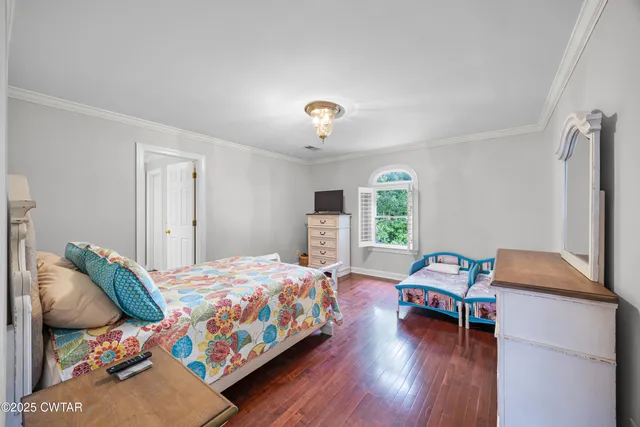 a living room with furniture flowerpot and a rug