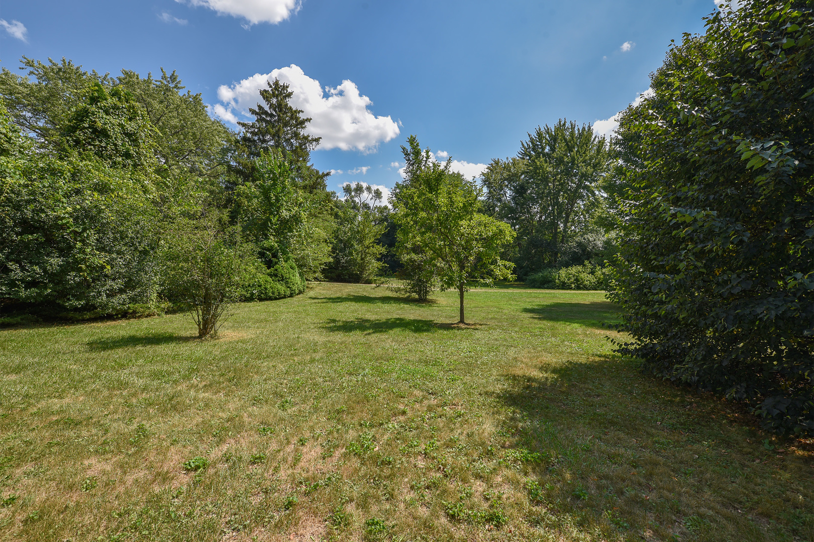 449 Cumnock Road Inverness, IL 60067 - Photo 5 of 10 a view of a tree in a yard
