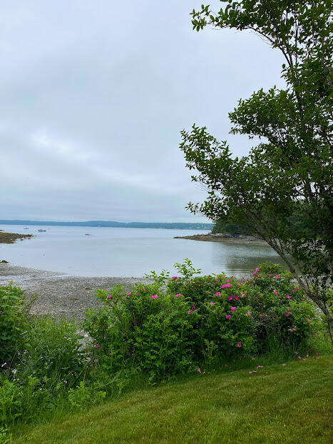 111 Old Bar Harbor Road Bar Harbor, ME 04609 - Photo 60 of 74 111 Old BH Rd View2