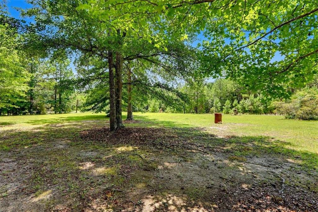 427 Baker Road Waverly Hall, GA 31831 - Photo 8 of 48