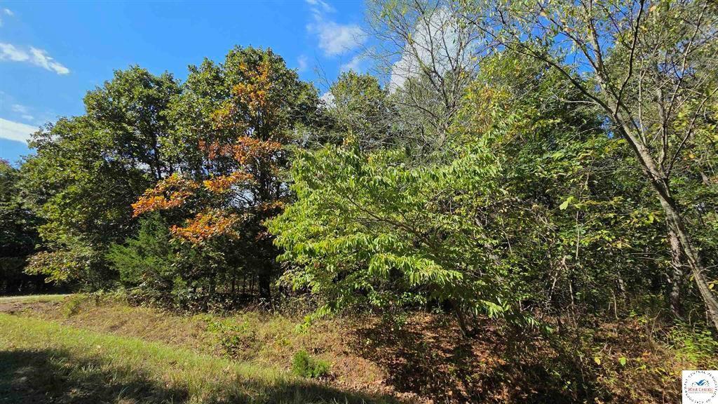 Fay Place Edwards, MO 65326 - Photo 4 of 5