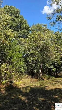 $6,000 | Fay Place, Edwards, MO 65326