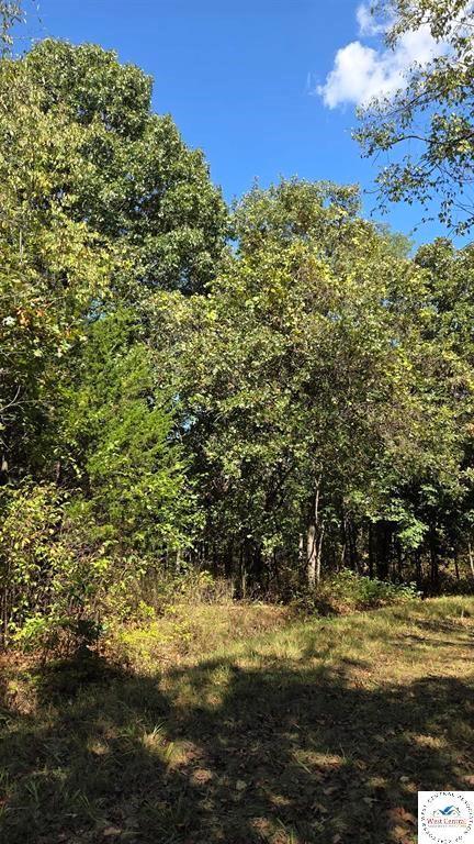 Fay Place Edwards, MO 65326 - Photo 5 of 5