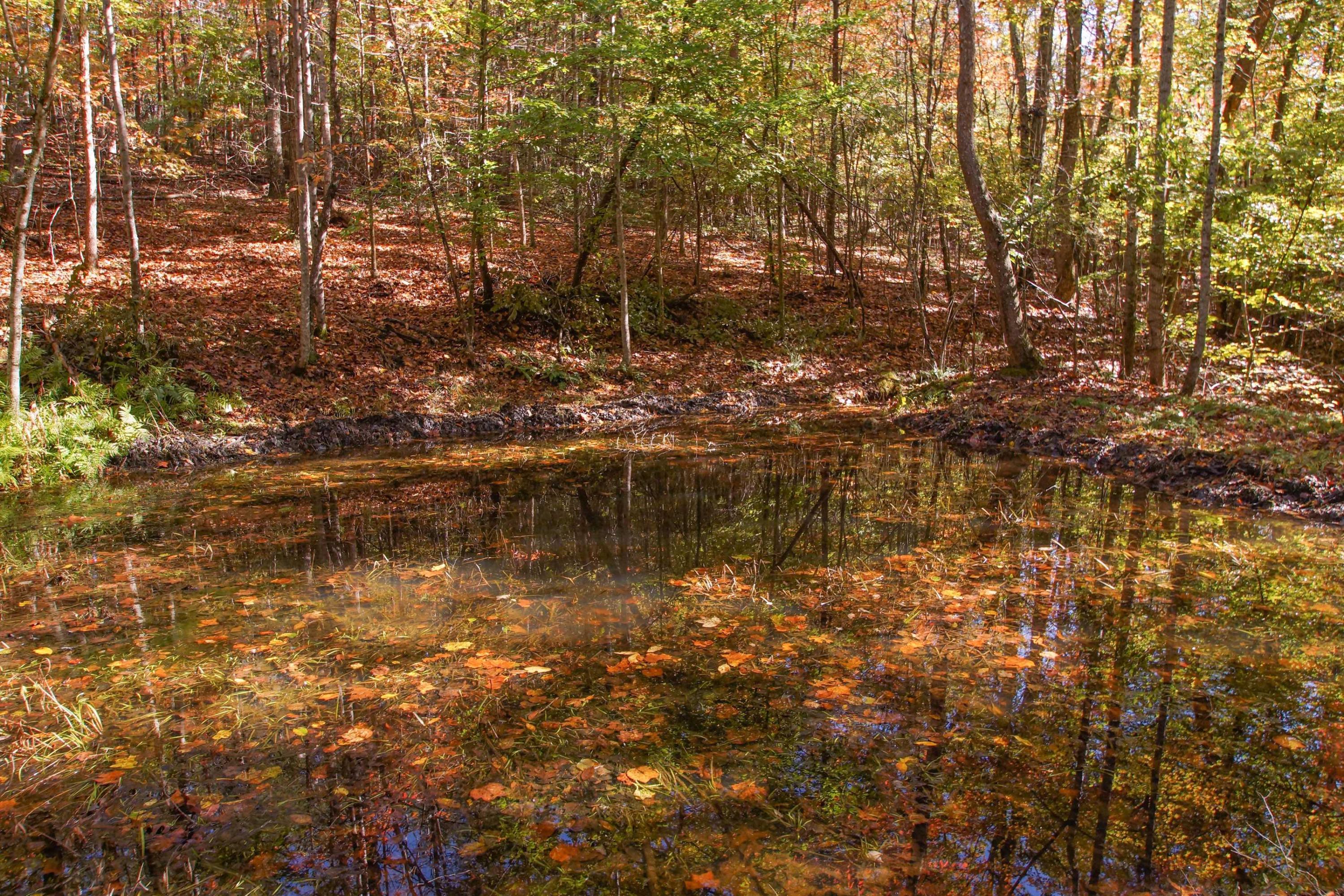 266 Flint Hill Road Rocky Mount, VA 24151 - Photo 105 of 109 dsc05114