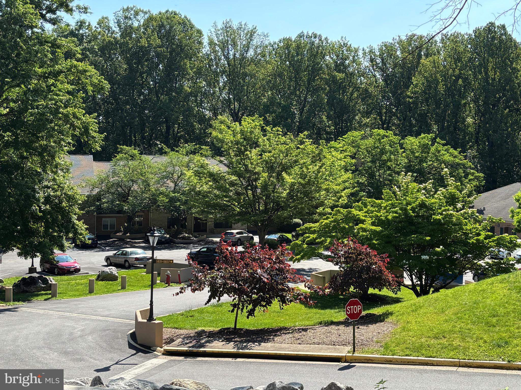 5835 Cove Landing Road, Unit 304 Burke, VA 22015 - Photo 3 of 8