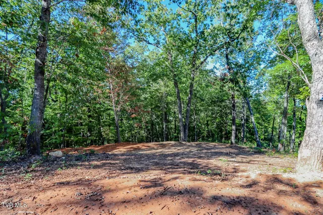 $36,500 | 133 Huffman Way, Unit 40, Newport, TN 37821