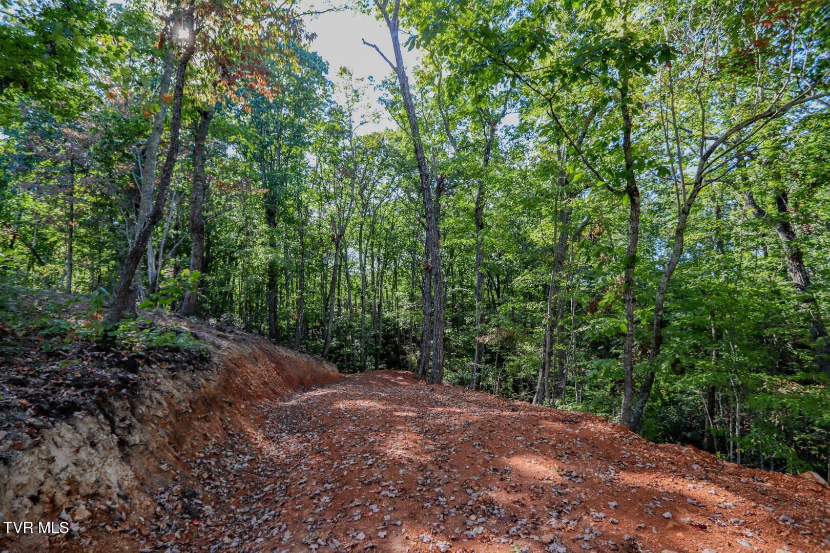 133 Huffman Way, Unit 40 Newport, TN 37821 - Photo 12 of 23 12