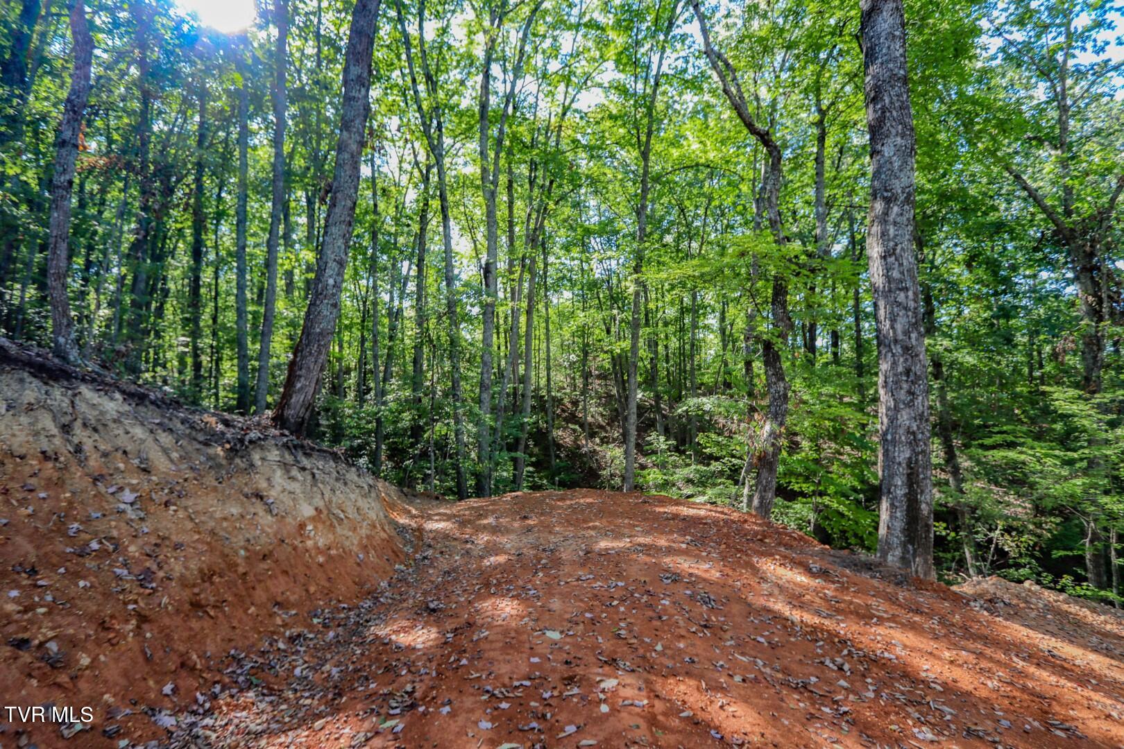 133 Huffman Way, Unit 40 Newport, TN 37821 - Photo 13 of 23 13