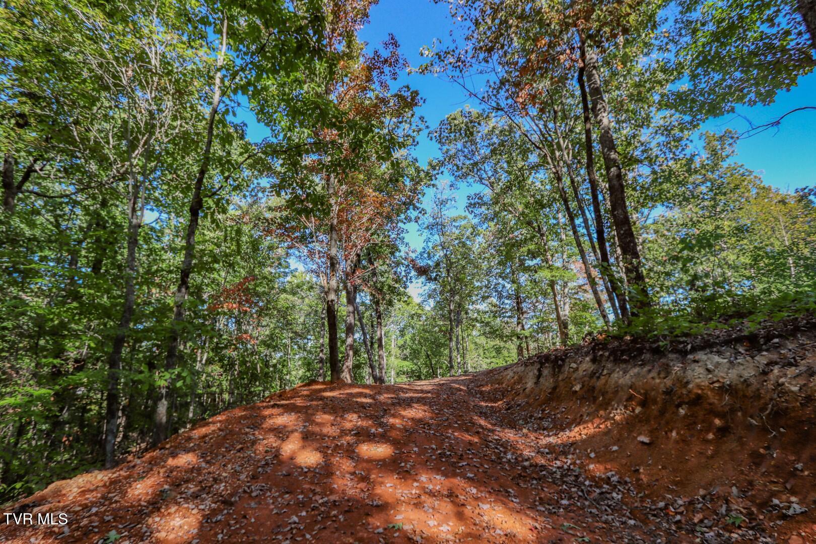 133 Huffman Way, Unit 40 Newport, TN 37821 - Photo 15 of 23 15