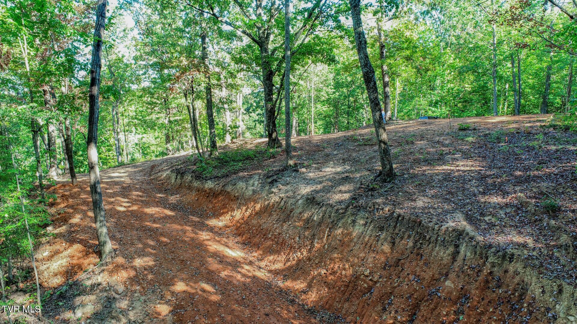 133 Huffman Way, Unit 40 Newport, TN 37821 - Photo 16 of 23 16