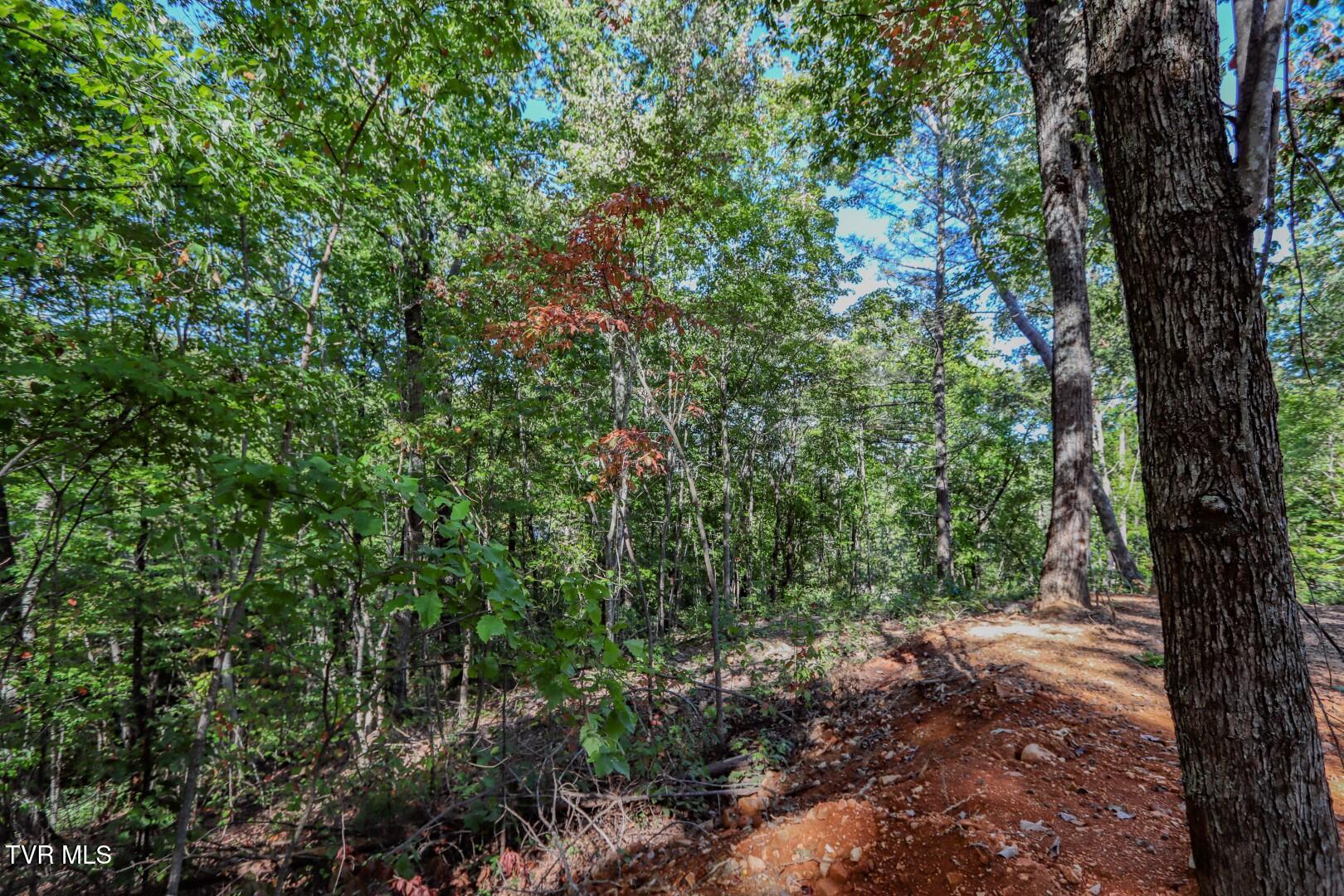 133 Huffman Way, Unit 40 Newport, TN 37821 - Photo 18 of 23 18