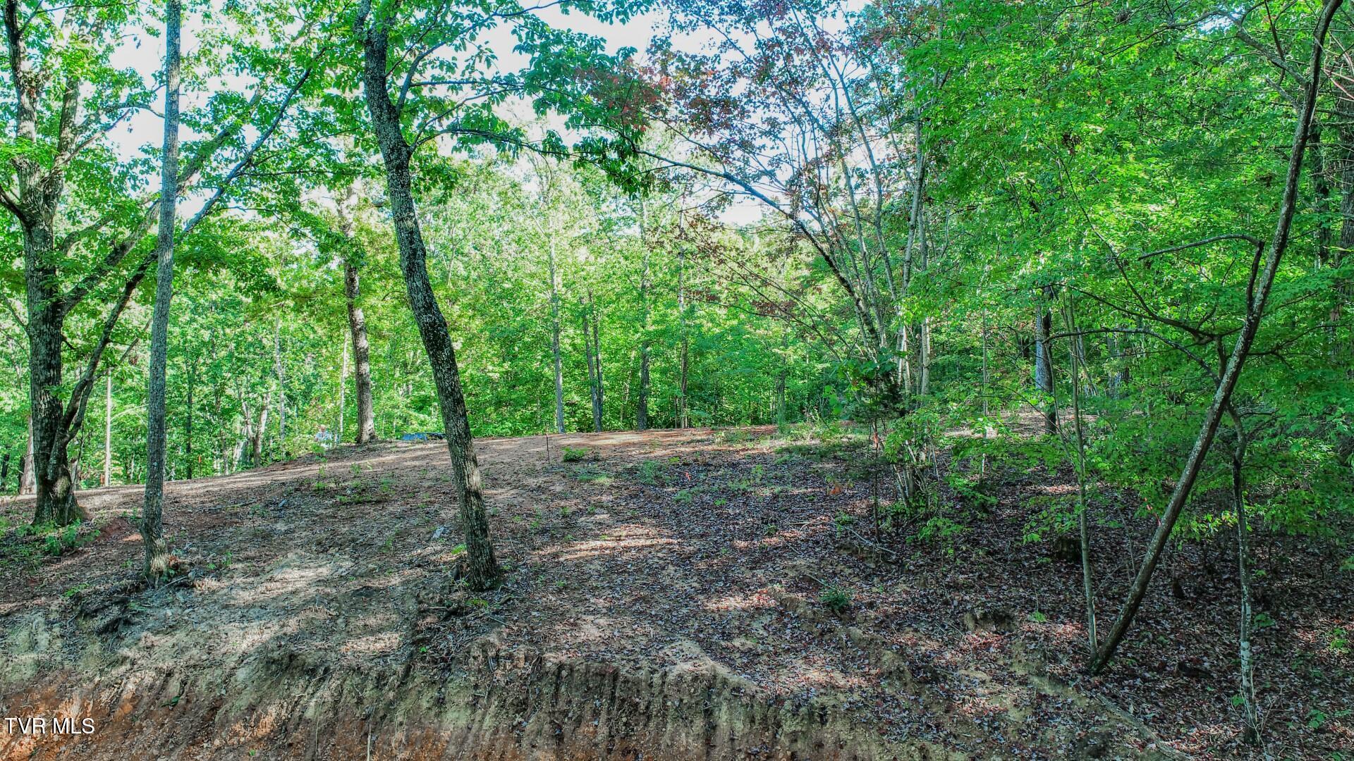 133 Huffman Way, Unit 40 Newport, TN 37821 - Photo 19 of 23 19