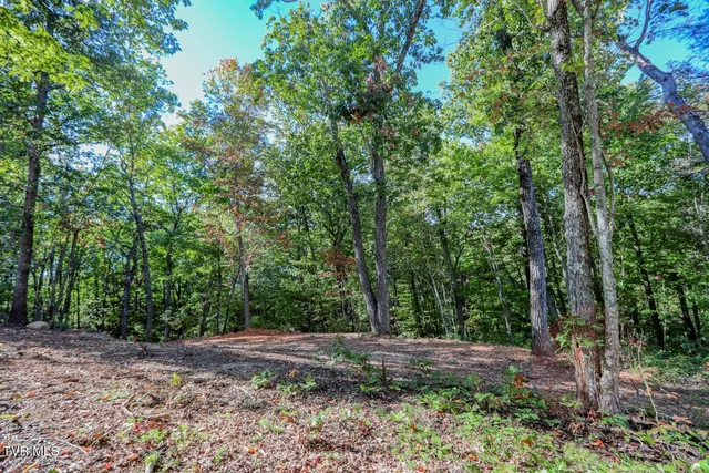 $36,500 | 133 Huffman Way, Unit 40, Newport, TN 37821