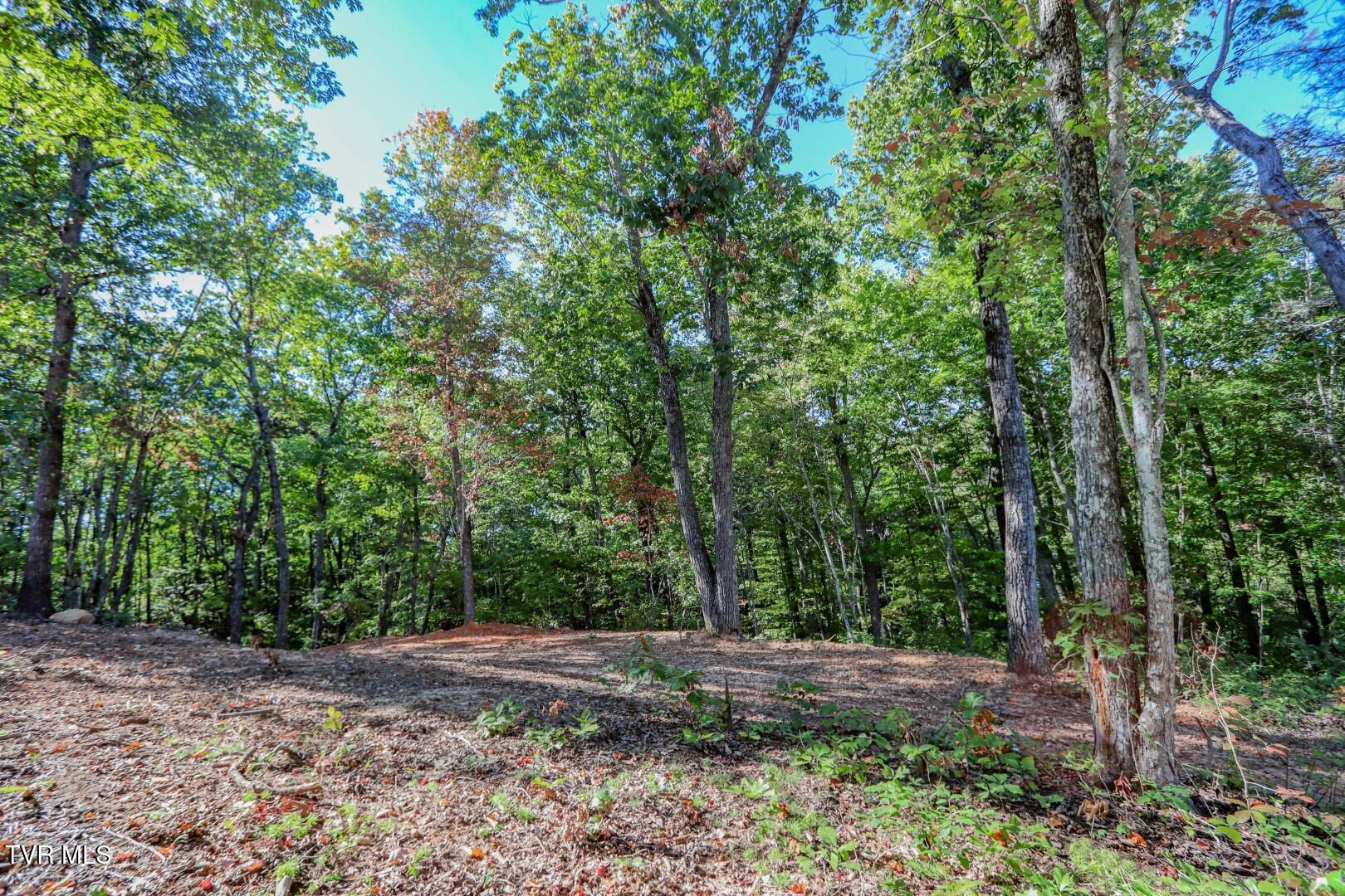 133 Huffman Way, Unit 40 Newport, TN 37821 - Photo 20 of 23 20