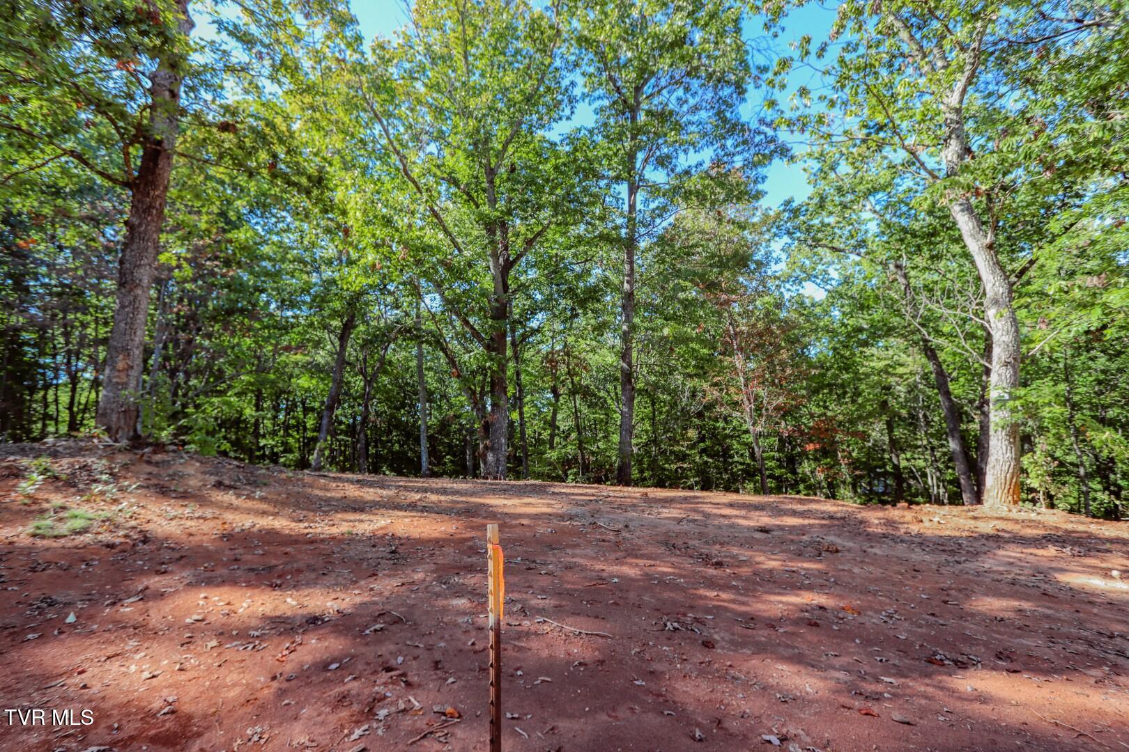 133 Huffman Way, Unit 40 Newport, TN 37821 - Photo 10 of 23 10