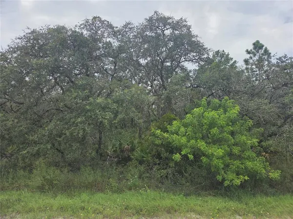 a view of a yard with a tree