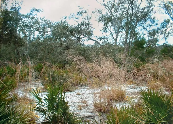 $78,500 | 2912 Sand Pine Trail, Frostproof, FL 33843