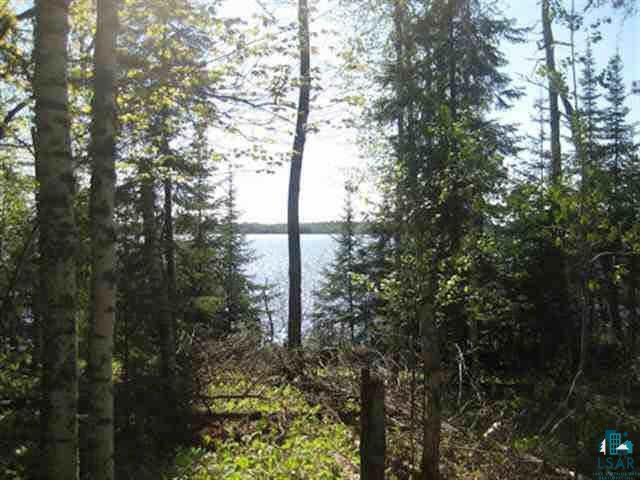 Xx Pine Road Ely, MN 55731 - Photo 3 of 9