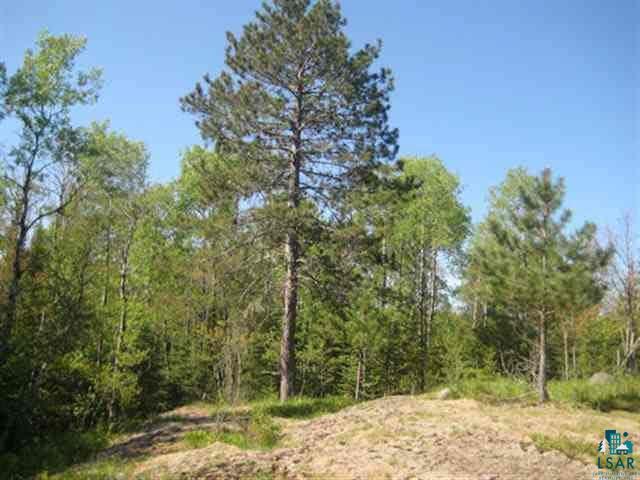 Xx Pine Road Ely, MN 55731 - Photo 4 of 9